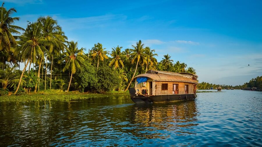Kochi: Backwater Exploration in Village: Free Pickup & Drop - What You’re Really Paying For: Value of a $63 Backwater Day