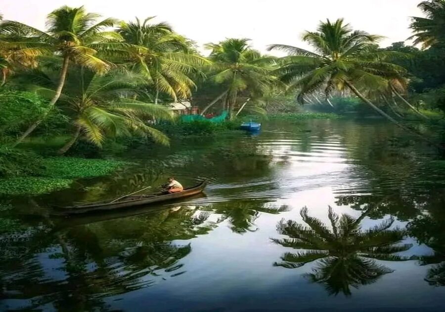 Kochi: Backwater Exploration in Village: Free Pickup & Drop - Should You Book This Kochi Backwater and Village Experience?