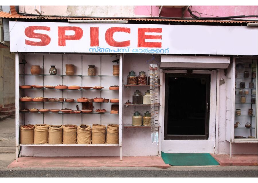 Kochi: Jewish Town Guided Walking Experience - Jew Town Walking, Where Markets and Folklore Museum Fit the Story