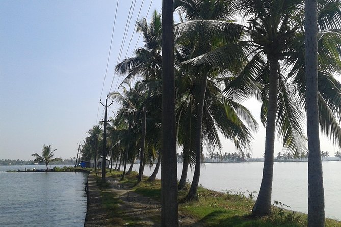 Kochi Village Life Experience tour - The Real Tour of Kochi ! - Key things I’d focus on before you go