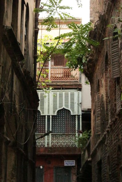 Kolkata: A Sea of Faces and A Thousand Places - Street Food and a Tea Break That Keeps the Day Human