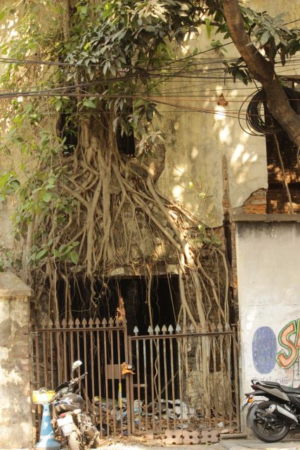 Kolkata: A Sea of Faces and A Thousand Places - College Street and Indian Coffee House: Revolution-Era Ideas, Still Alive