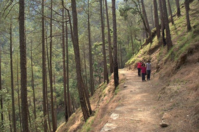 Kumaon/Binsar Sanctuary Walking Holiday - Getting From Kathgodam to Binsar: The First Long Travel Day (and Why It Matters)