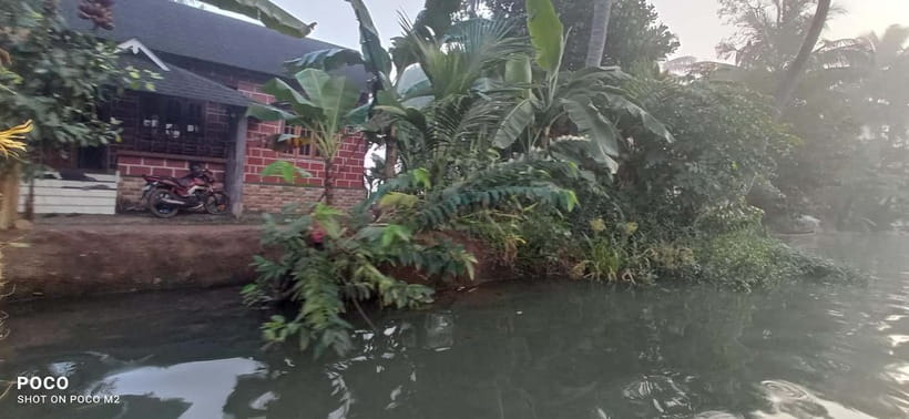 Kumarakom: Sunrise Cruise With Village Life and Local Food - Fishing nets, Vembanad Lake vibes, and why the route matters for photos