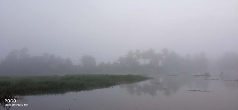Kumarakom: Sunrise Cruise With Village Life and Local Food - Who should book this sunrise canoe cruise, and who might not love it