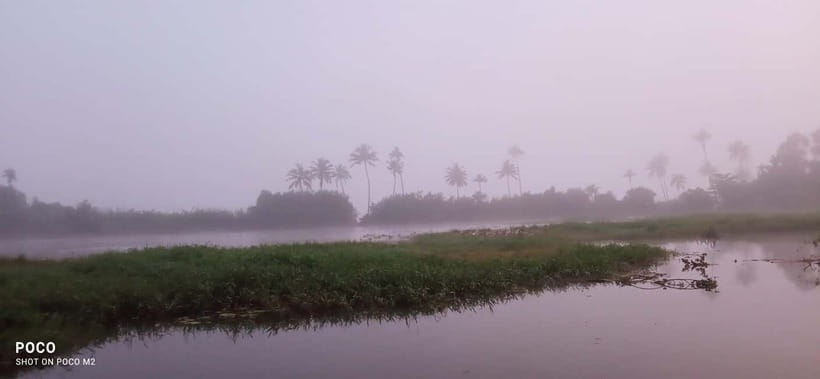 Kumarakom: Sunrise Cruise With Village Life and Local Food - Price and value: what $65 buys beyond the boat ride
