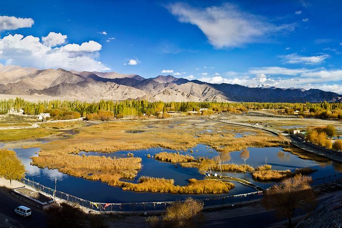 Ladakh 5-Star Premium Tour 7 Days - Key highlights worth knowing
