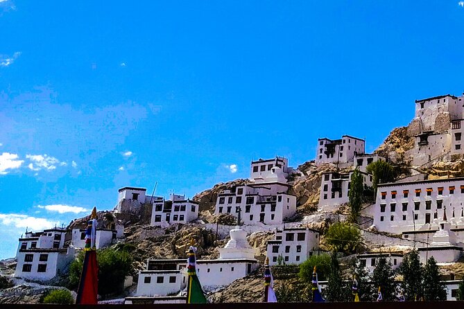 Ladakh Sham Valley Trek - Quick hits on the Sham Valley Baby Trek