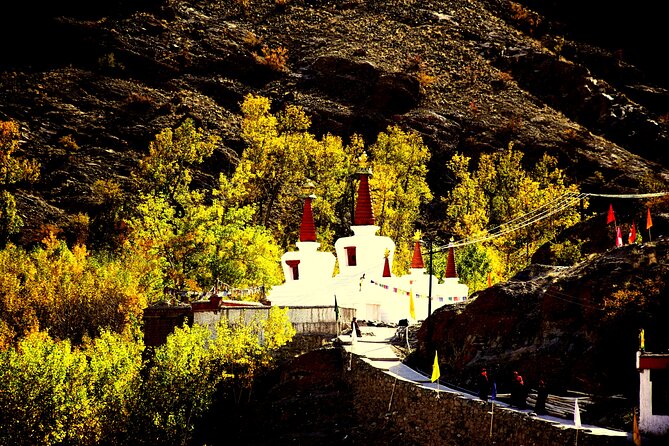 Ladakh Sham Valley Trek - Day 1: Likir to Yangthang, two passes and a warm start