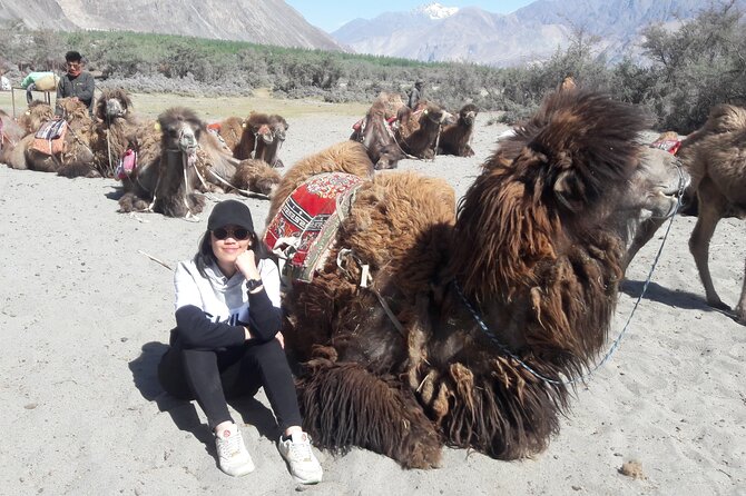 Ladakh Special Tours - Lodging Style: Three-Star Hotels, Camps, and Homestays
