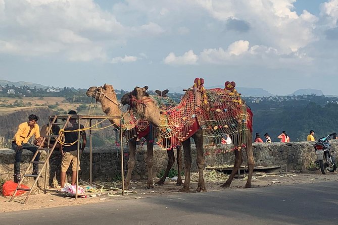 Lonavla Hill Station Tour - Lonavla Lake Waterfall: snack stops, seasonal drama, and an easy nature pause