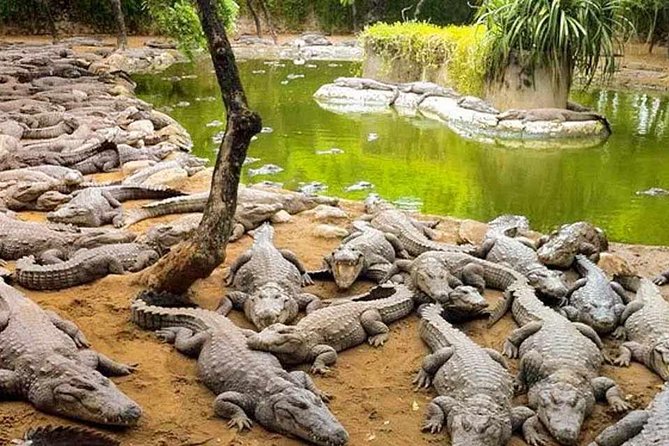 Mahabalipuram walking tour by certified travel company - A Short, Storied Walk Across Pallava-Era Mahabalipuram