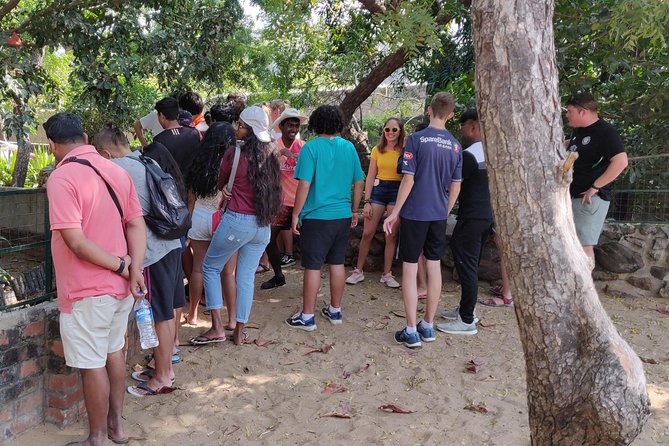 Mahabalipuram walking tour by certified travel company - Guides Make the Difference, Especially Rajesh and Basha