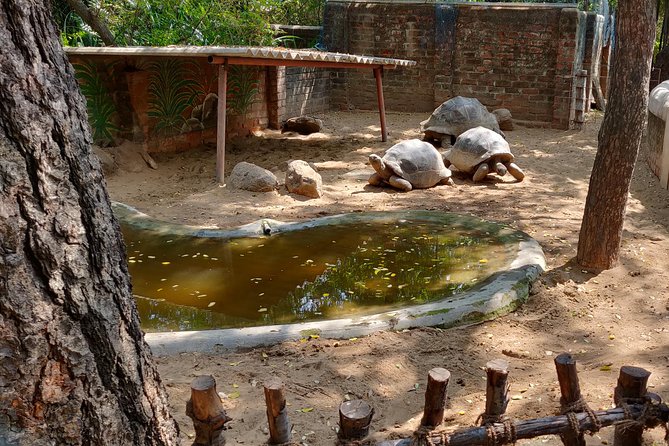 Mahabalipuram walking tour by certified travel company - Should You Book This Mahabalipuram Walking Tour?