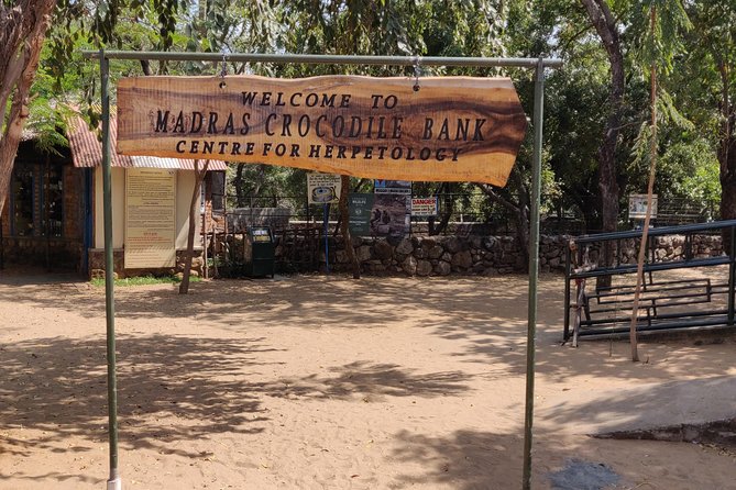 Mahabalipuram walking tour by certified travel company - Price and Value: Why $47 Works Here