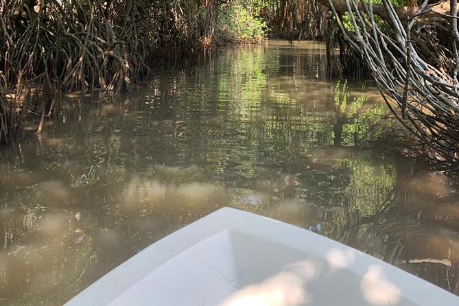 Mangrove Adventure - Stop 1 at the Bentota River: what happens once you’re on the water