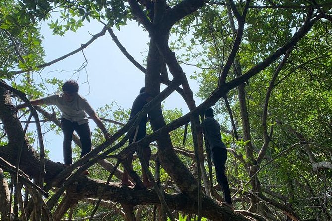 Mangrove Adventure - Photo tips for mangrove roots, branches, and calm water