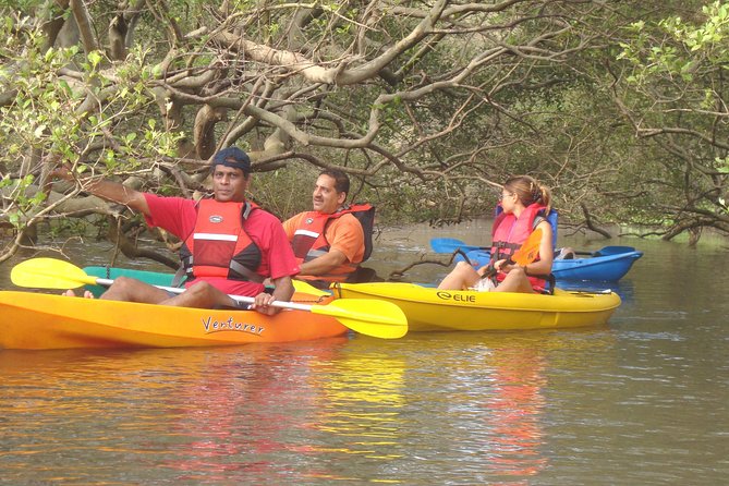 Mangroves Magic Goa Kayaking Experience - Key highlights you should care about
