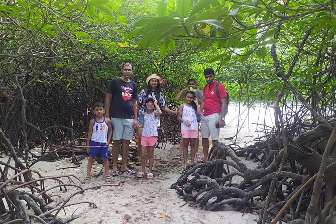 Marine Trail - Low tide mangroves and coral life, right where you stand