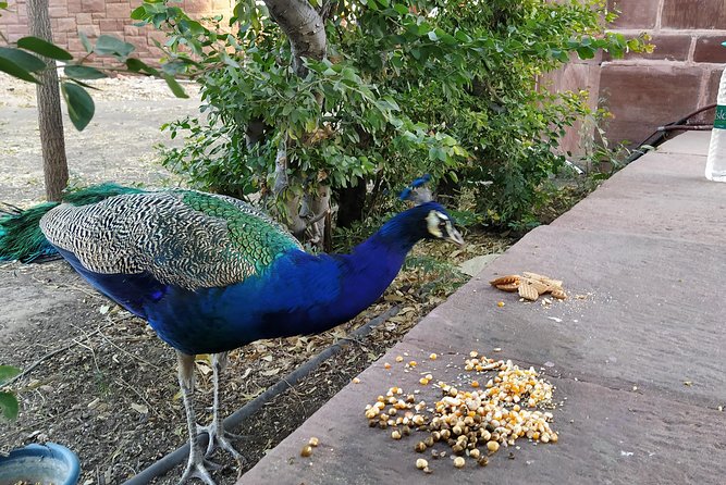 Mehrangarh Fort and Blue City Historic Tour with Local Guide - Mehrangarh Fort rooms and courtyards: where the guide earns their fee