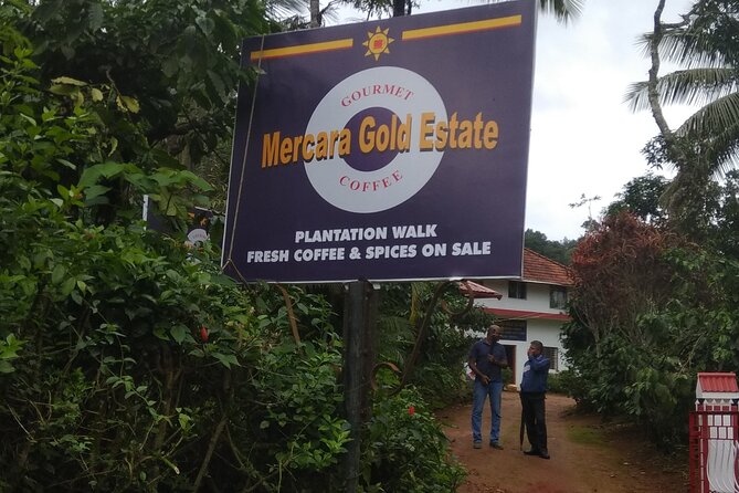Mercara Gold Coorg Coffee and Spice Estate Tour - Stop 1 on the route: coffee plantation, crops, and processing steps