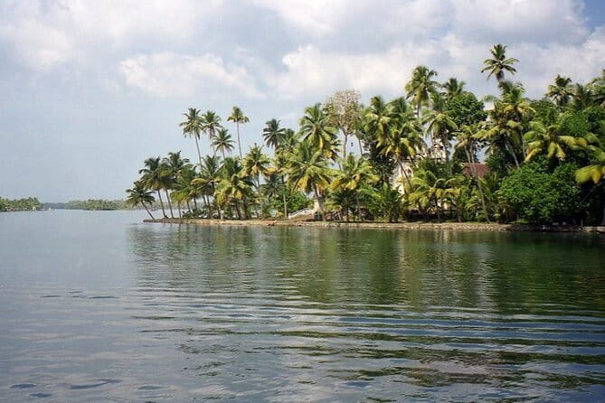 Midday Cruise with Village Life - Key highlights to know before you go