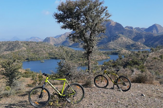 Morning Bike Tour of Udaipur - Who This Tour Fits Best (and Who Might Skip It)