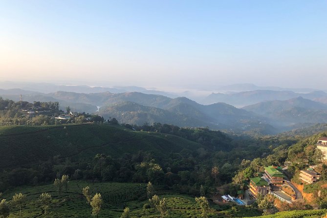 Mountain Hiking in Munnar (half day) By Munnar Info - Getting to Munnar Info and timing your half-day
