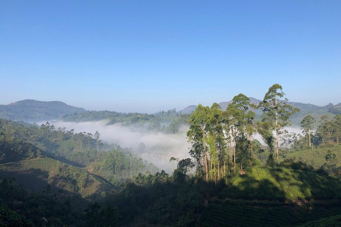Mountain Hiking in Munnar (half day) By Munnar Info - Why the guide and the small group make this feel personal