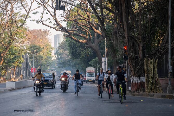 Mumbai Bicycle Tour - Chhatrapati Shivaji Terminus (CST): commuting energy in a UNESCO-style frame
