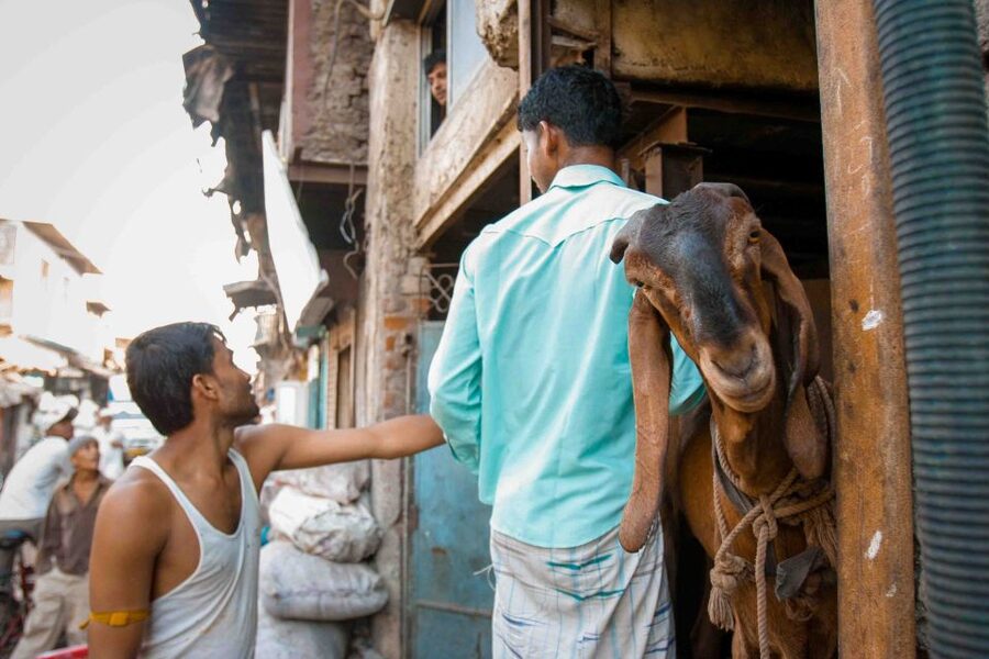 Mumbai: Dharavi Tour Including Car Transfer - Key things that make this tour worth your time