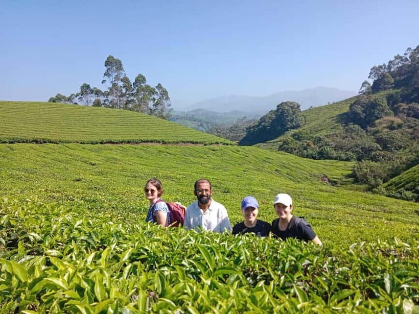 Munnar: Half day Guided Trek - Key moments you will care about