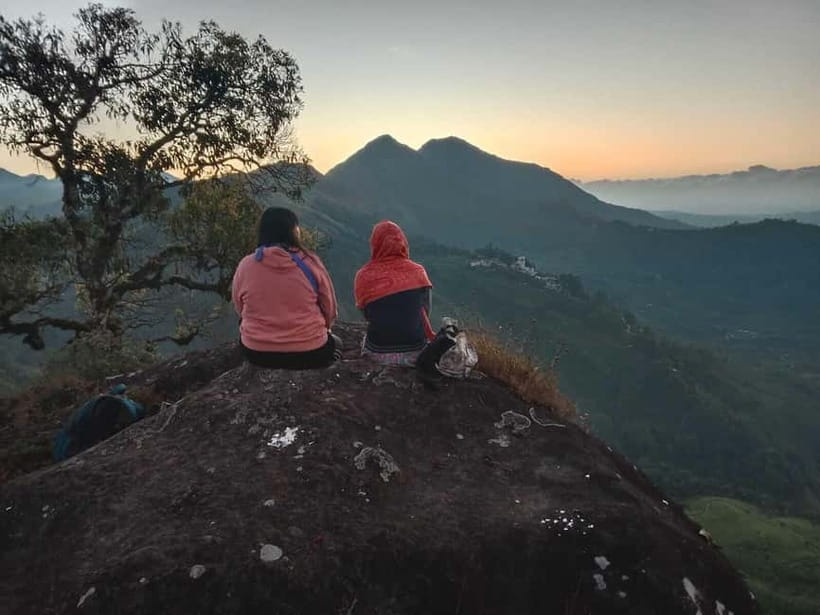 Munnar: Half day Guided Trek - Tea plantations and the coffee-to-tea shift you will actually notice