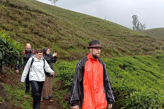 Munnar Letchmi hills Trekking - Pickup, transport, and how the 4 to 5 hour plan feels on your day