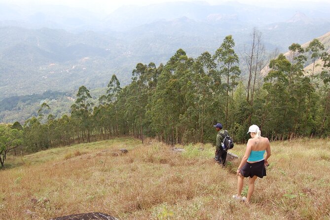 Munnar Letchmi hills Trekking - Stop 2: Government U.P School, Letchmi Estate views and a quick reset