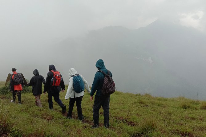 Munnar Letchmi hills Trekking - Stop 1: Letchmi Estate, walking tea country with time to take it in