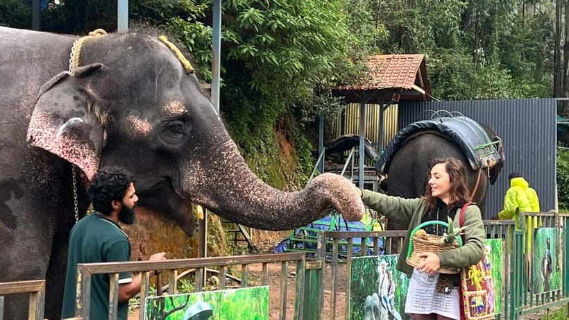 Munnar: Local Highlights Day Tour with Top station Visit - Key Highlights You Should Not Miss