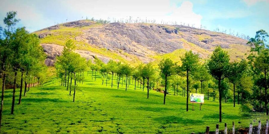 Munnar: Local Highlights Day Tour with Top station Visit - A Full Day That Tries to Hit the Real Munnar Classics