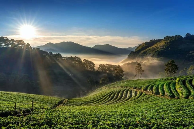 Munnar: Local Highlights Day Tour with Top station Visit - Echo Point by Mattupetty Lake: A Simple Natural Trick