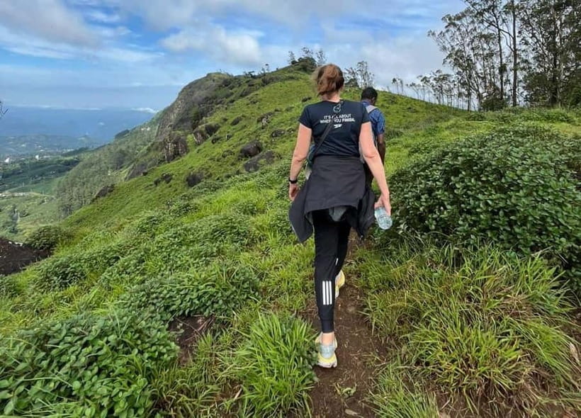 Munnar mountain hiking (Full day) - Tea, Cardamom, and Shola Woods to the Top at About 2000m