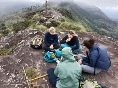 Munnar mountain hiking (Full day)