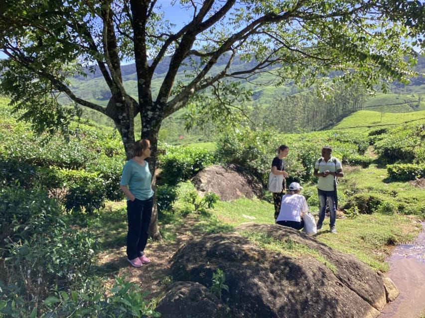 Munnar: Tea trail, Tea Factory, and Tea Tasting Tour - Price and Value: Why $13 Can Feel Like a Deal