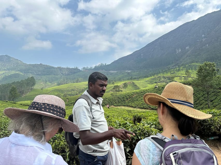 Munnar: Tea trail, Tea Factory, and Tea Tasting Tour - Logistics That Affect Your Comfort: Meeting Point and Timing