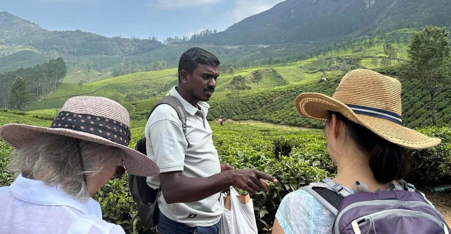 Munnar: Tea trail, Tea Factory, and Tea Tasting Tour - Who This Tour Suits Best (And Who Should Skip It)