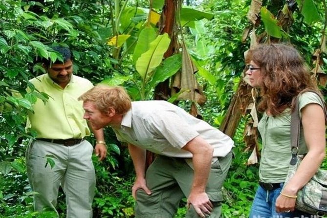 Munnar Tea valley Tour ( By Munnar Info) - Key things I’d prioritize on this Munnar tea valley tour