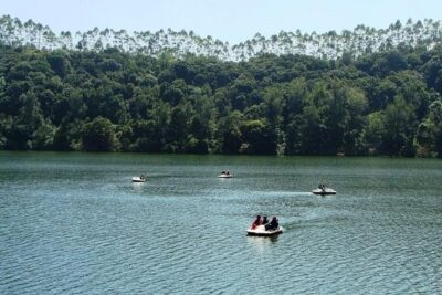 Munnar Tea valley Tour ( By Munnar Info)