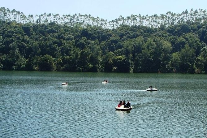 Munnar Tea valley Tour ( By Munnar Info) - Price and logistics: what you really pay for a full day