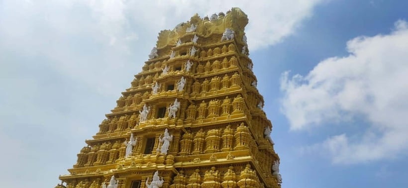 Mysore: Palace, Art Gallery & Devaraja Market Walking Tour - Devaraja Market: fruit, flowers, vegetables, and real Mysore color