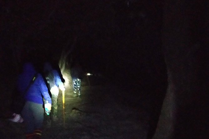 Nagtibba Trek (Pantwari to Pantwari) - Nag Tibba from Pantwari, a beginner trek that still feels like the mountains