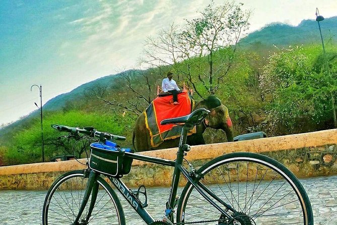 Nahargarh Cycle Tour in Jaipur - Stop 5: Tripolia Bazar breakfast tasting, Jaipur style